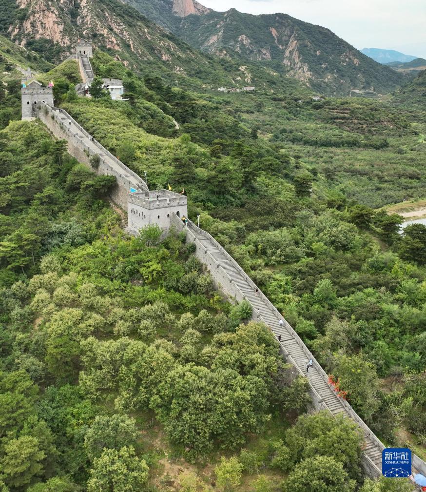飞禽走兽赌币机游戏